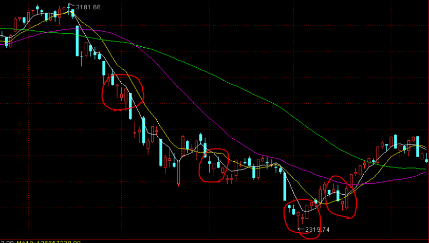 粤港澳三地齐“上分”,100天后定能向世界提交一份温暖的答卷丨发布会看广东