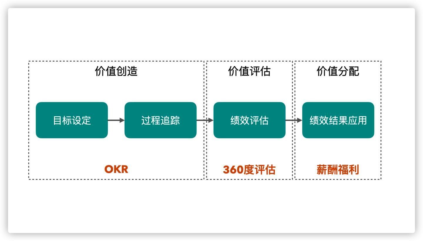 长篇大套网