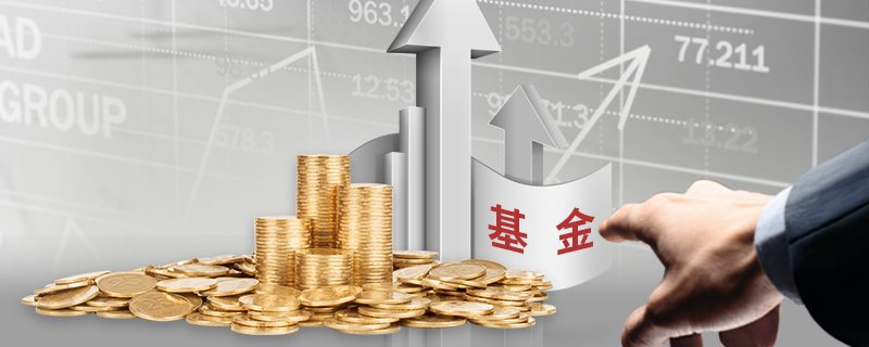 深耕创作沃土 讲好徐闻故事