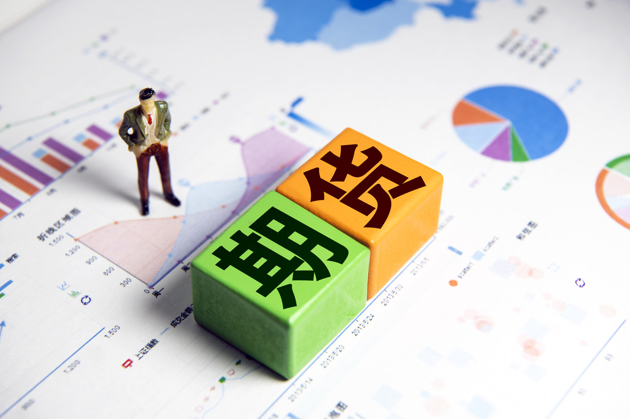 “稀客”紫背椋鸟到访福建